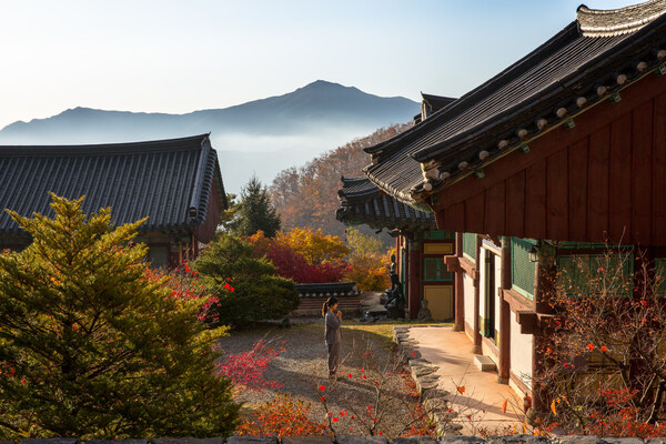 ท่องเที่ยวเกาหลีจัดกิจกรรมอยู่วัด ผสานประเพณีโบราณกับความทันสมัยอย่างลงตัว