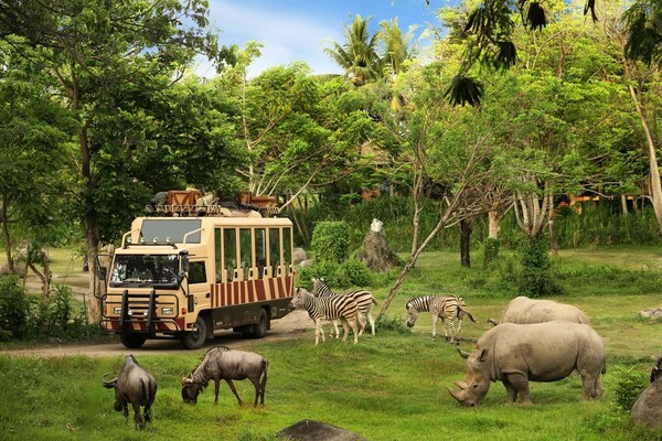 Safari journey at Taman Safari Bali