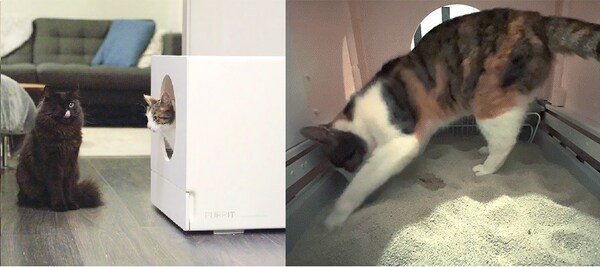PURRIT Launches Spacious SCUBIC Self-Cleaning Litterbox