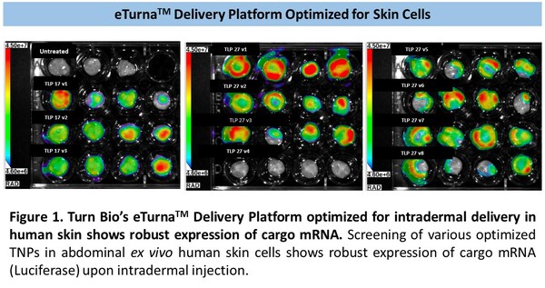 Turn Biotechnologies' Expanded eTurna™ Delivery Platform Designed to Solve Delivery and Targeting Issues that Challenge Industry