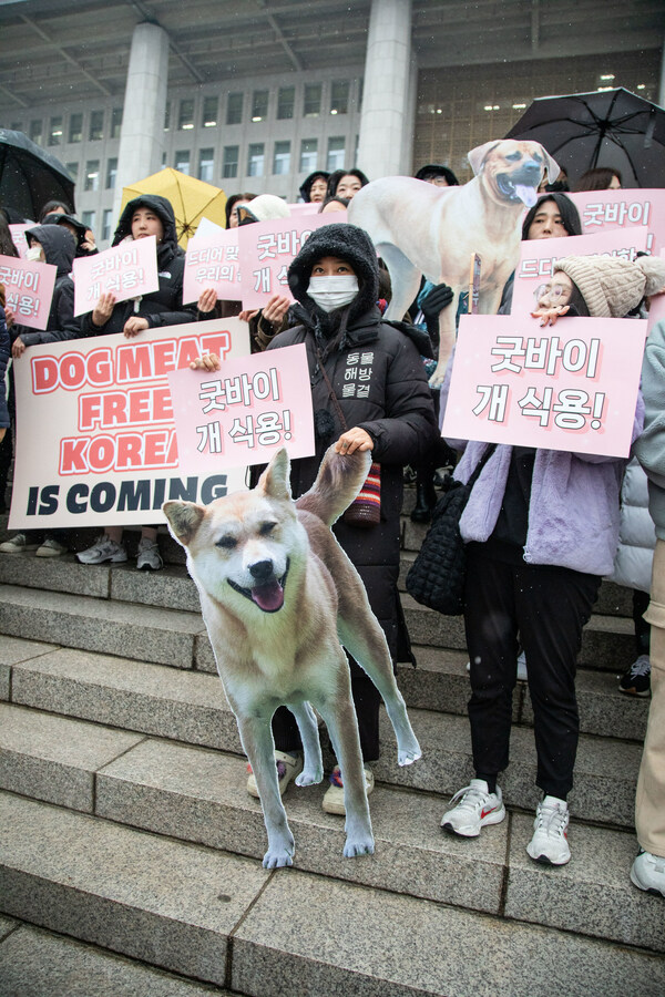 Last Chance for Animals, Animal Liberation Wave Applaud Historic Victory for Compassion as South Korea Bans Dog Meat