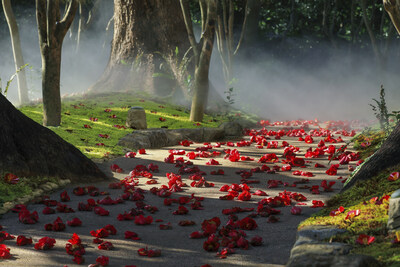 科普\愛發體育app官方