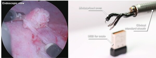 Instrumen robotic miniatur untuk pembedahan endoluminal