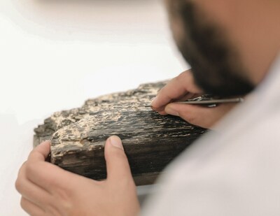 7th-8th century AD ebony pillar during conservation in the laboratory of JHD's General Department of Archaeology.