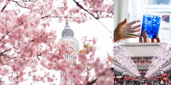 Left: Every spring, the Sumida River near the TOKYO SKYTREE is adorned with cherry blossoms, making it a popular destination for tourists from both Japan and abroad. Upper right: TOKYO SKYTREE offers a special discount package called the "SKYTREE ENJOY PACK", allowing visitors to experience Edo Kiriko glass carving. Lower right: The distance between TOKYO SKYTREE and Asakusa is also not far.