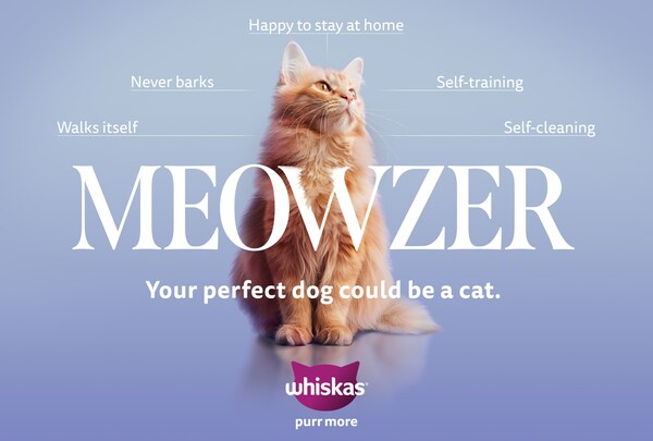 https://mma.prnasia.com/media2/2371691/Meowzer___Your_perfect_dog_could_be_a_cat.jpg?p=medium600
