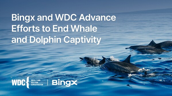BingX and WDC Made Progress in Ending Captivity of Whales and Dolphins (PRNewsfoto/BingX)