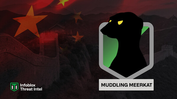 Infoblox discovers Muddling Meerkat - the Great Firewall Manipulator.