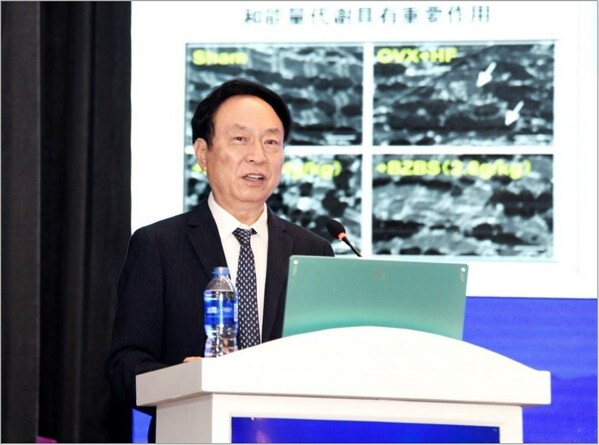Academician Wu Yiling's Academic Report