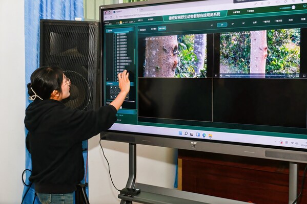 Reserve staff using digital devices to monitor the rare species double-horned rhinoceros