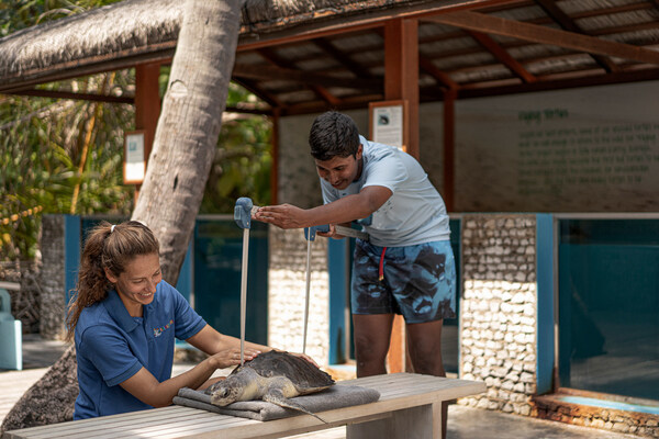 马尔代夫兰达吉拉瓦鲁岛四季度假酒店见习海洋生物学家计划