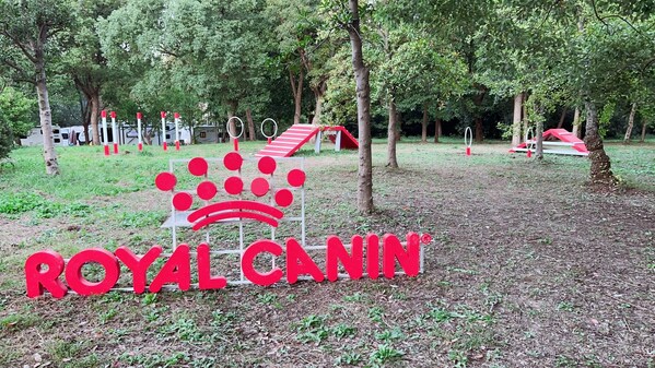 皇家支持建設的上海首個寵物友好公園——上海市濱江森林公園