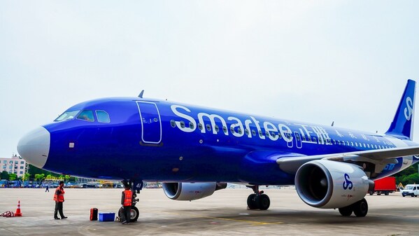 Smartee-themed airplane