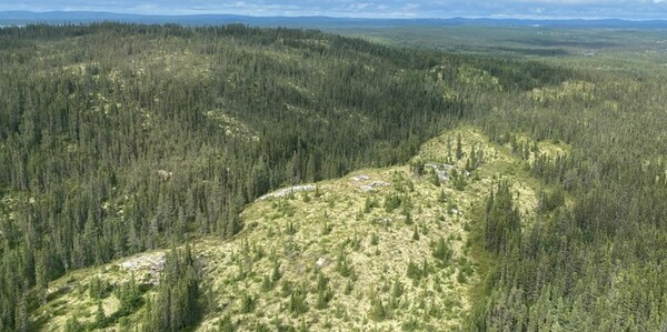 Figure 31: Principal spodumene pegmatite outcrop at CV13 (looking northeast). (CNW Group/Patriot Battery Metals Inc.)