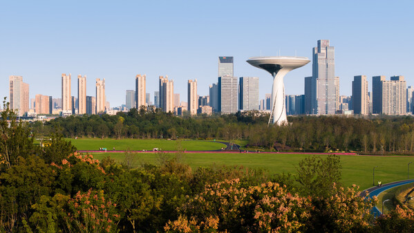 公園林冠線和城市天際線