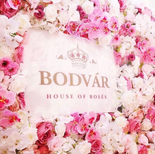 Bodvár Rosé and DJ Furkan Sert Unite Music and Rosé with Hit Song 'Bodvár'