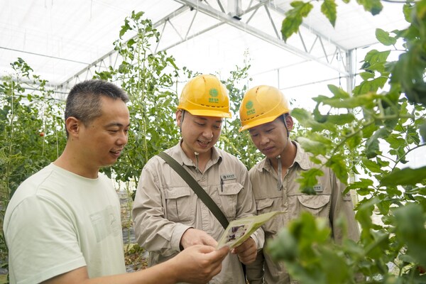 State Grid Taizhou Luqiao District Power Supply Company: 