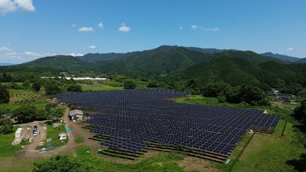 Trinasolar Unveils Agrivoltaics Project in Japan, Driving Renewable Energy and Agriculture Synergy