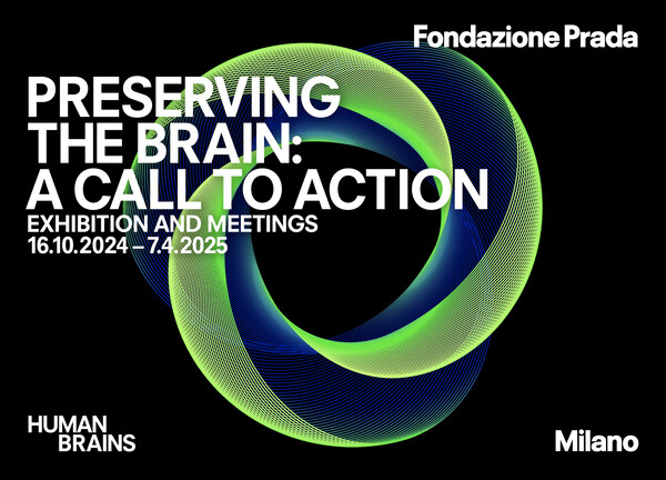 Fondazione Prada Milan - “Preserving the Brain: A Call to Action” – Credit 2x4, New York