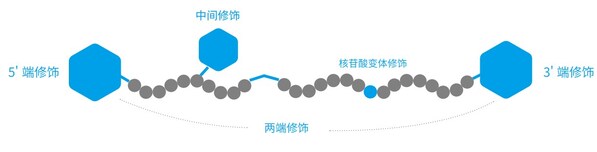 Oligo修饰类型功能分类