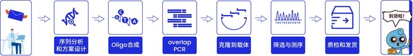 基因工廠云探秘系列4-- 從PCR到基因組裝：揭示合成關(guān)鍵步驟與精準(zhǔn)驗(yàn)證