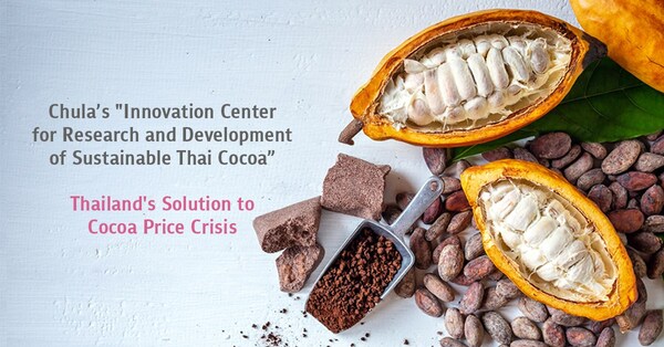 Chula’s "Innovation Center for Research and Development of Sustainable Thai Cocoa” - Thailand's Solution to Cocoa Price Crisis