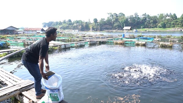 JULO and eFishery collaborate to promote financial literacy for MSME owners and fish farmers