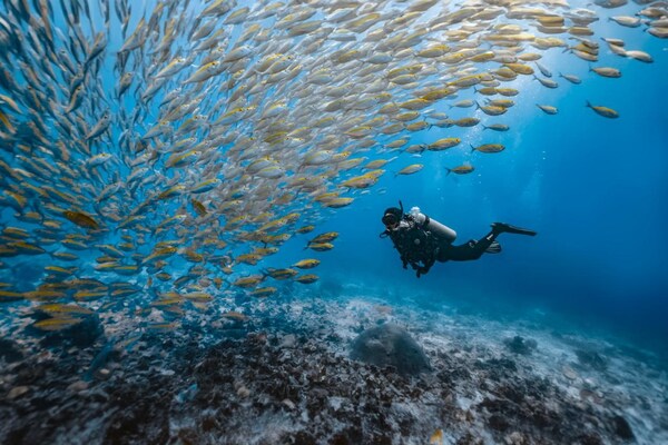 PADI 愛(ài)海洋攜手李現(xiàn)探索濤島，與蔚藍(lán)奔現(xiàn)