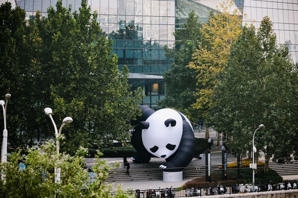 熊猫再现北京CBD，打卡“蓄势待发”