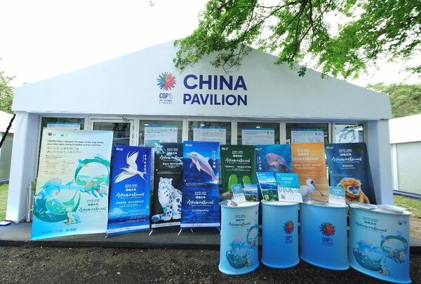 “Green Electricity Ark” Project is displayed at COP 16 China corner