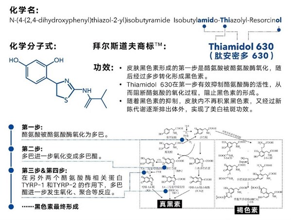 黑色素的生成路徑*