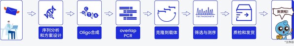 图5.擎科生物基因合成流程图