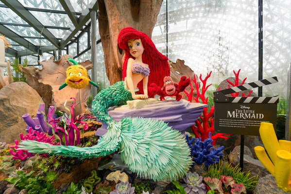 The Little Mermaid topiary at Disney Garden of Wonder, featuring (from left) Flounder, Ariel and Sebastian made out of preserved plants in a diversity of colours and textures.