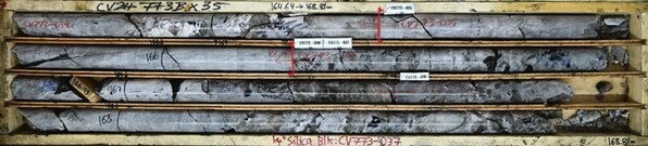Figure 2: Large spodumene crystal(s) (0.9 m core length) grading 7.11% Li2O, the highest-grade drill core sample collected to date at the Property (drill hole CV24-773).