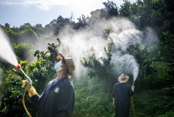 雅苒中国荣膺双项大奖