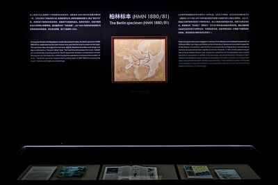 溯源｜始祖鸟进化之旅 上海始祖鸟博物馆揭幕全新展览