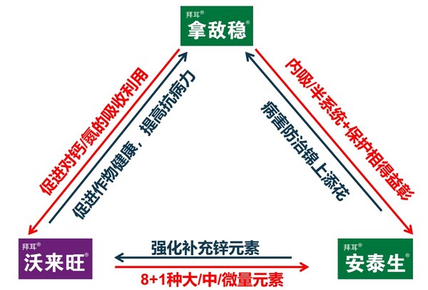 拜耳拿沃安®的协同增效机理