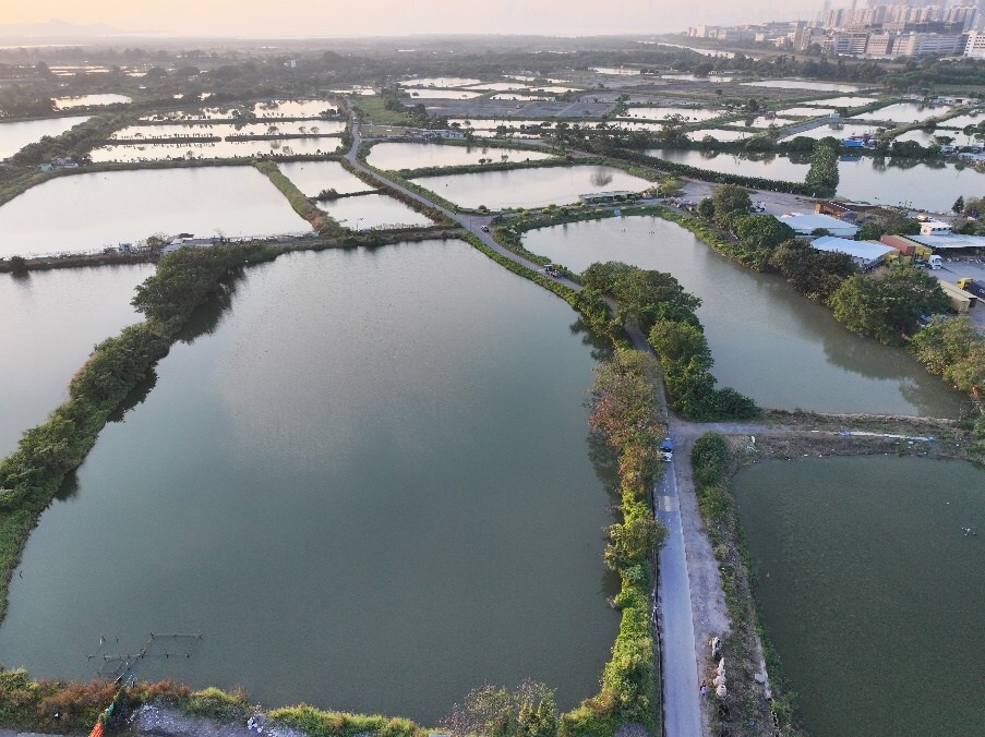 三寶樹濕地保育公園的擬建範圍