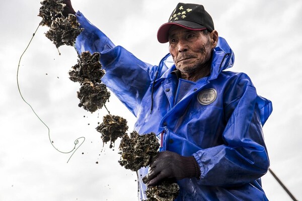 A Taiwanese oyster farmer contributes to a circular future — his discarded shells are transformed into Seawool®, a sustainable and high-performance textile. A Taiwanese oyster farmer contributes to a circular future — his discarded shells are transformed into Seawool®, a sustainable and high-performance textile.