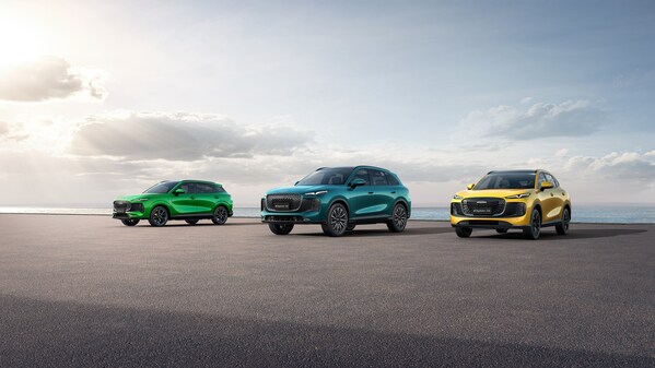 LEPAS product portfolio