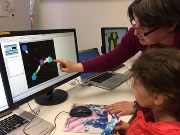 Seorang pelajar memeriksa dengan teliti model semut NetLogo yang menunjukkan cara semut mengumpulkan makanan secara kolektif