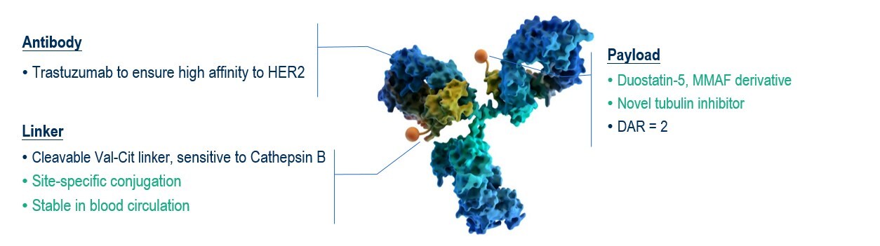 Molecular structure of trastuzumab botidotin