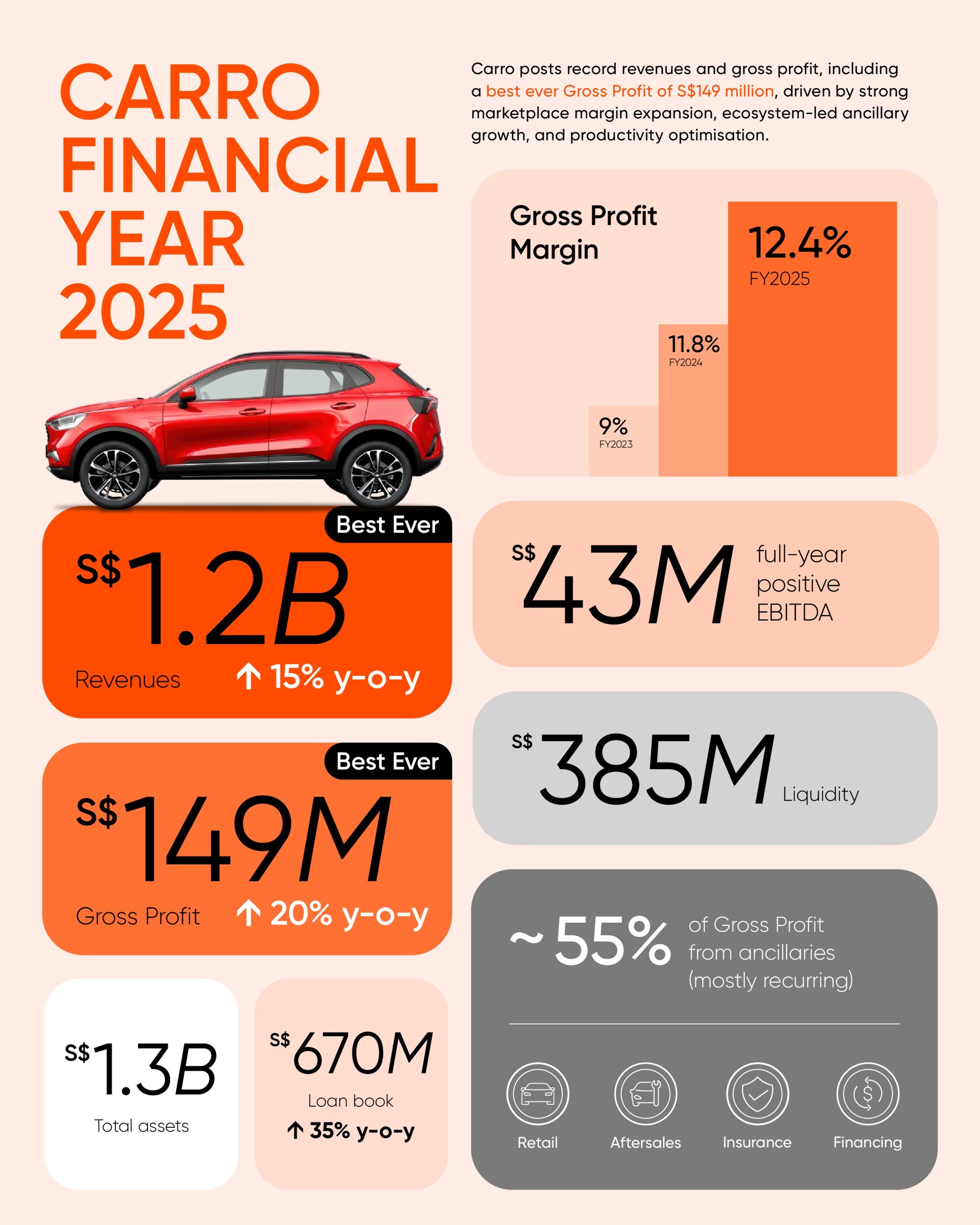 Carro Financial Year 2025