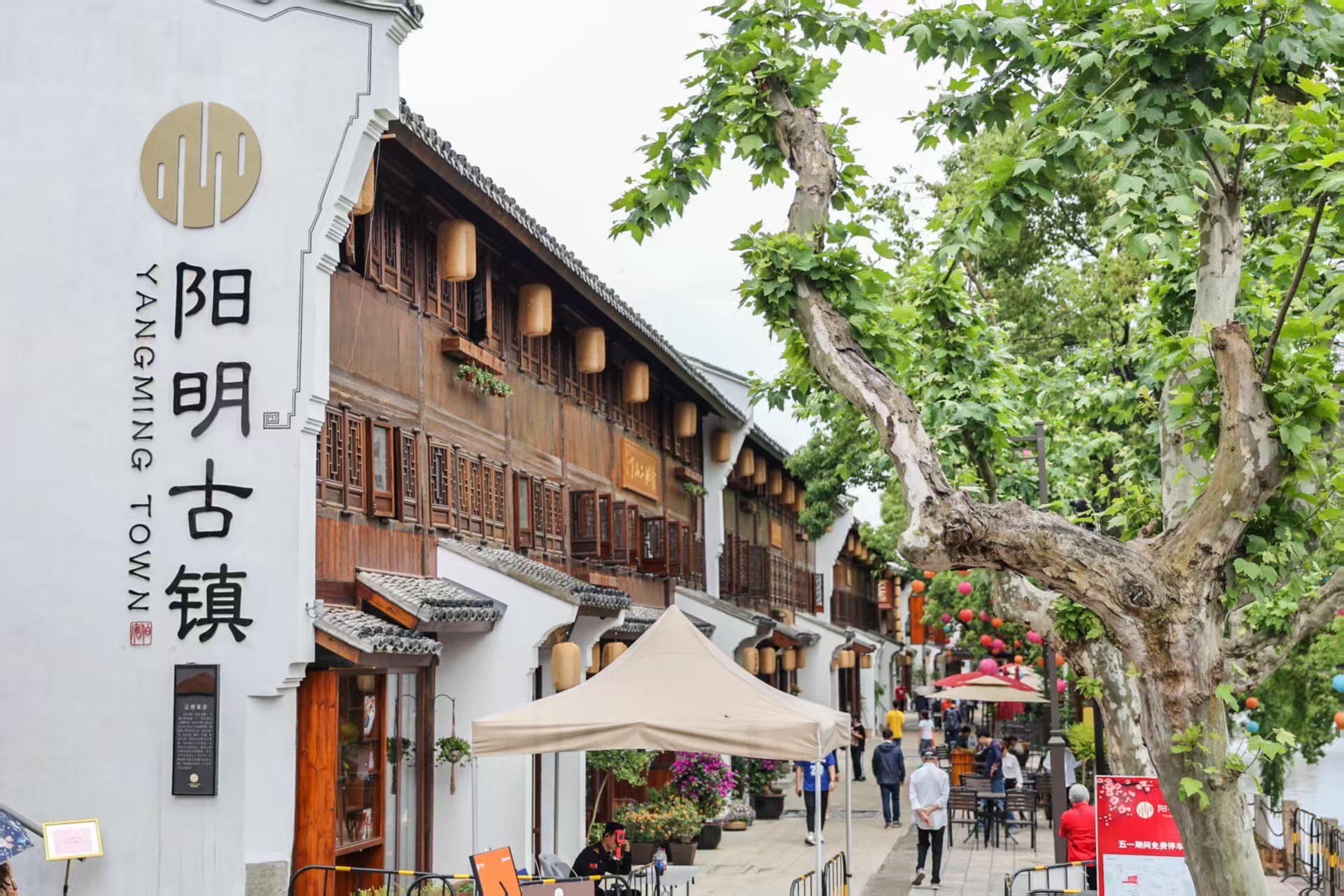 Yangming Town, Yuyao Yangming Town, Yuyao