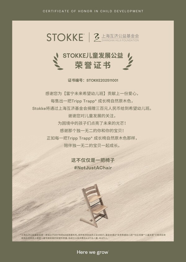 Stokke 儿童发展公益证书