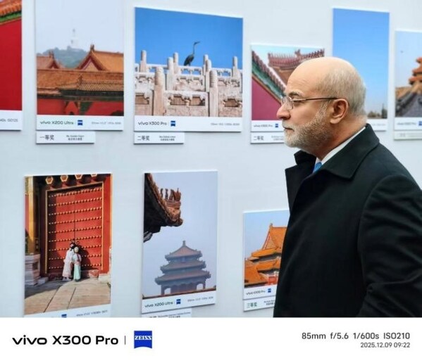 “Light & Ink · Forbidden City” Thematic Photography Works