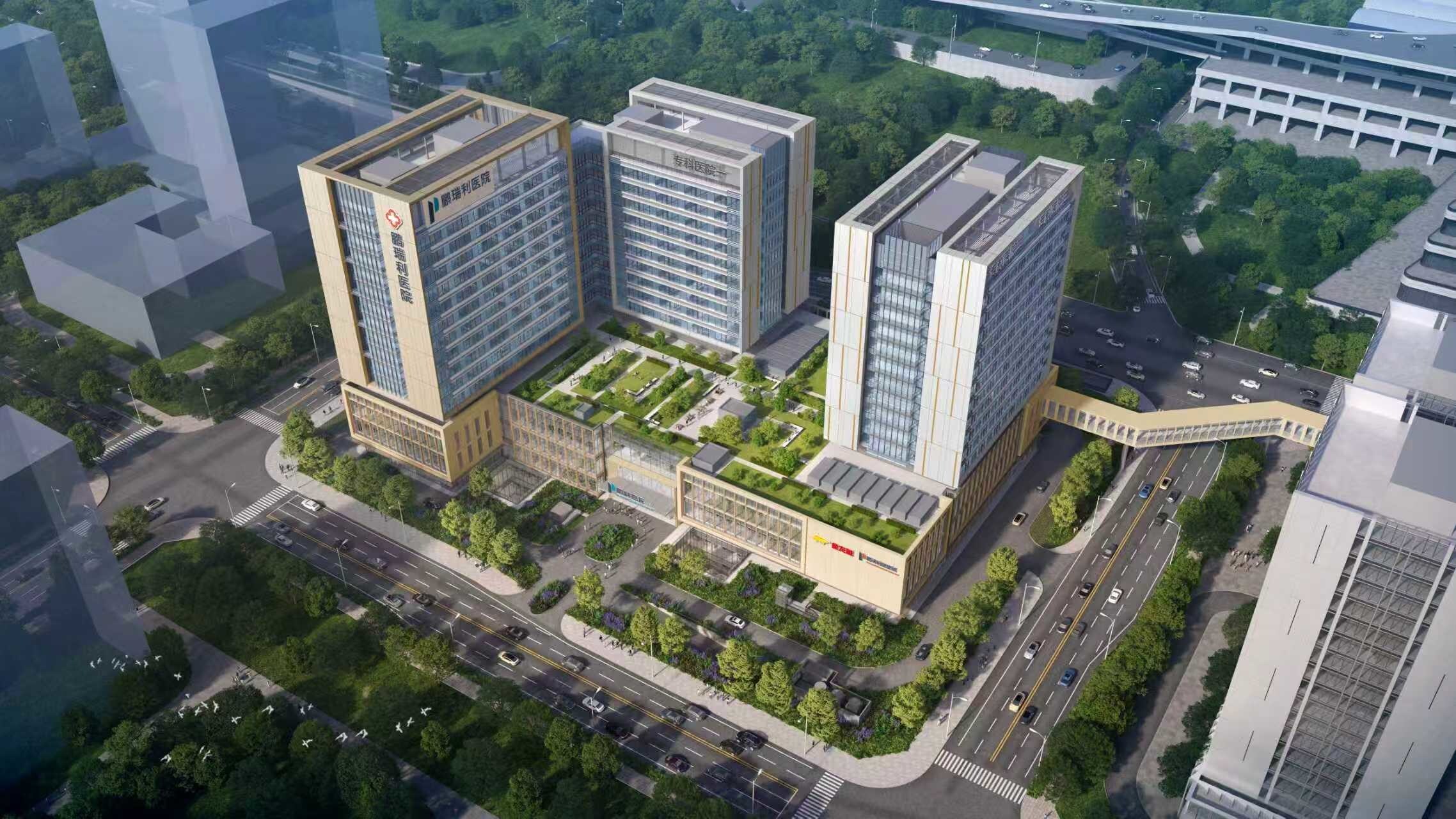 Perennial Healthcare City Chongqing Phase 1 - Overview 1