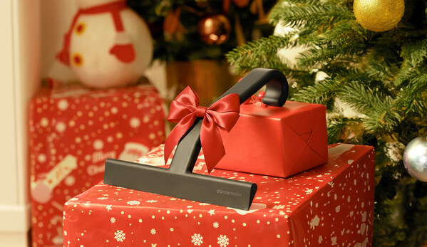 dancemoon JustHang Squeegee: The Perfect Practical Gift