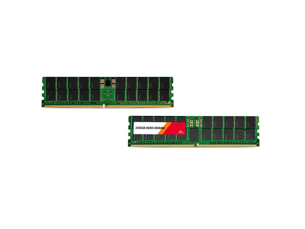 SK hynix 256GB DDR5 RDIMM
