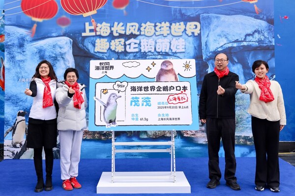 企鹅宝宝落“沪”盖章仪式 企鹅宝宝落“沪”盖章仪式